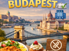 viaggiare senza glutine budapest